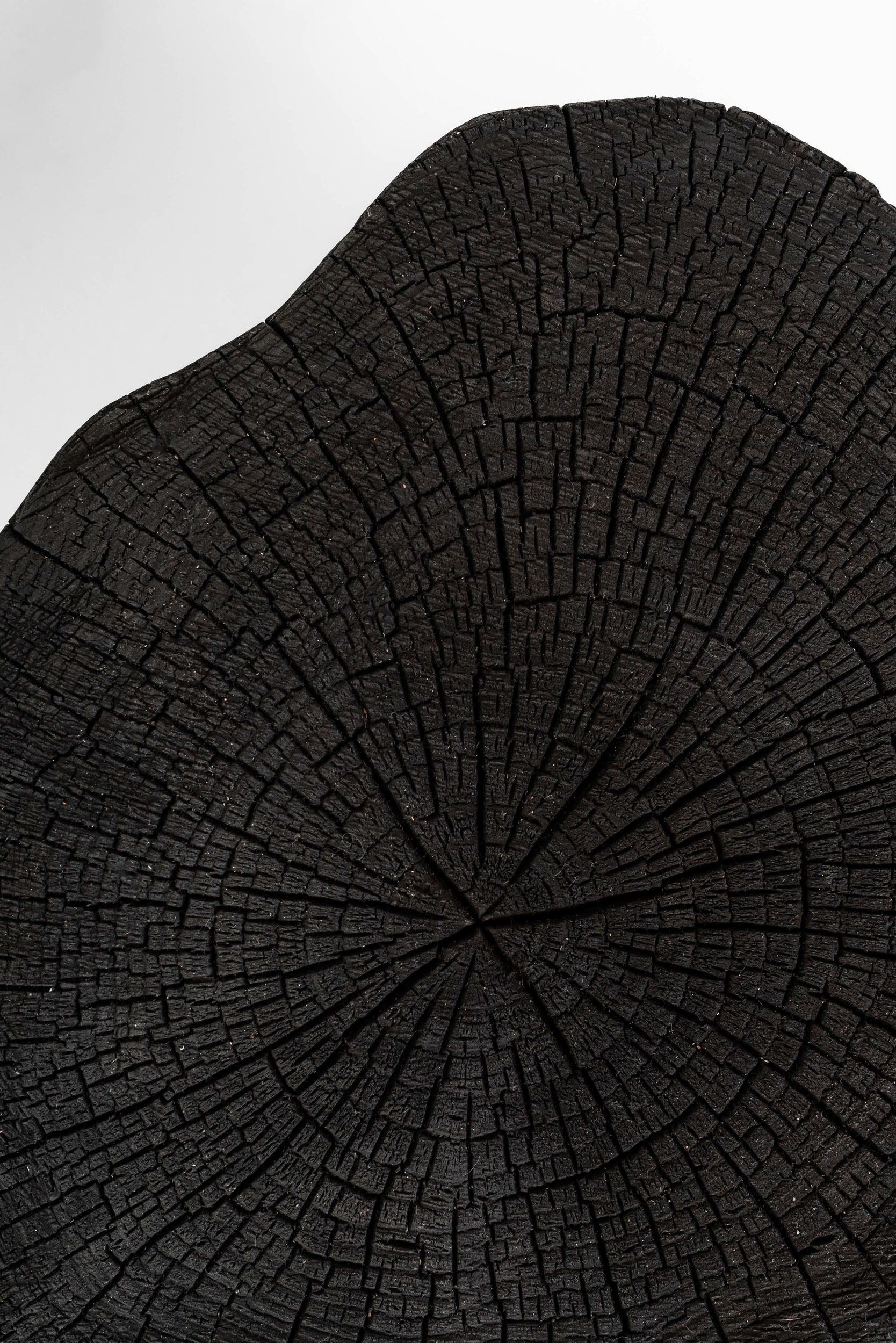 Log